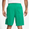 NIKE Club Alumni Fitnessshorts Herren 324 - stadium green/stadium green/white M
