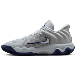 NIKE Giannis Immortality 4 Basketballschuhe Herren 008 - wolf grey/mtlc platinum-pure platinum 42.5