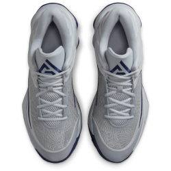 NIKE Giannis Immortality 4 Basketballschuhe Herren 008 - wolf grey/mtlc platinum-pure platinum 42.5