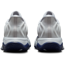 NIKE Giannis Immortality 4 Basketballschuhe Herren 008 - wolf grey/mtlc platinum-pure platinum 42.5