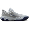 NIKE Giannis Immortality 4 Basketballschuhe Herren 008 - wolf grey/mtlc platinum-pure platinum 42.5