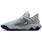 NIKE Giannis Immortality 4 Basketballschuhe Herren 008 - wolf grey/mtlc platinum-pure platinum 42.5