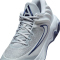 NIKE Giannis Immortality 4 Basketballschuhe Herren 008 - wolf grey/mtlc platinum-pure platinum 42.5