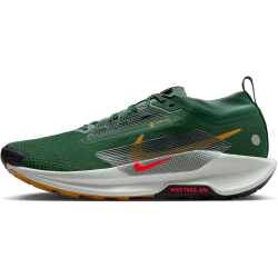 NIKE Pegasus Trail 5 GORE-TEX Trailrunning-Schuhe Herren 301 - fir/bright crimson-clay green 41