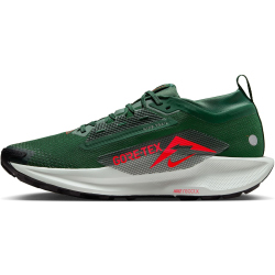 NIKE Pegasus Trail 5 GORE-TEX Trailrunning-Schuhe Herren 301 - fir/bright crimson-clay green 41