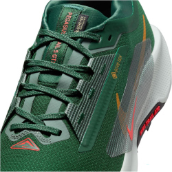 NIKE Pegasus Trail 5 GORE-TEX Trailrunning-Schuhe Herren 301 - fir/bright crimson-clay green 41