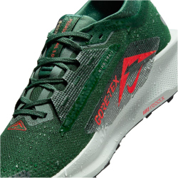 NIKE Pegasus Trail 5 GORE-TEX Trailrunning-Schuhe Herren 301 - fir/bright crimson-clay green 41