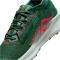 NIKE Pegasus Trail 5 GORE-TEX Trailrunning-Schuhe Herren 301 - fir/bright crimson-clay green 42