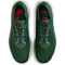 NIKE Pegasus Trail 5 GORE-TEX Trailrunning-Schuhe Herren 301 - fir/bright crimson-clay green 42.5
