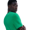 NIKE Sportswear T-Shirt Herren 324 - stadium green M