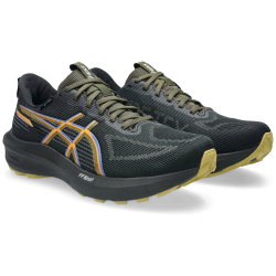 ASICS GT-1000 14 Gore-Tex Laufschuhe Herren