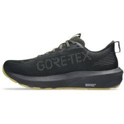 ASICS GT-1000 14 Gore-Tex Laufschuhe Herren