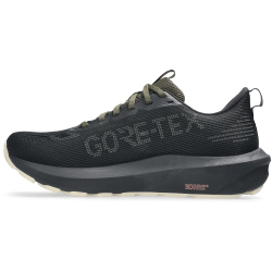 ASICS GT-1000 14 Gore-Tex Laufschuhe Damen