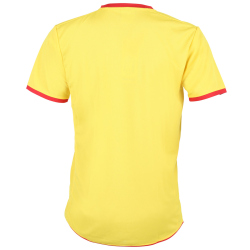 MIKASA ARISA Volleyball Trikot Herren Gelb M