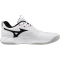 Mizuno Wave Momentum Pro Volleyballschuhe