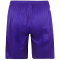 JAKO 1. FSV Mainz 05 Auswärtsshorts