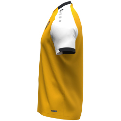 JAKO Dynamo Dresden Dynamic T-Shirt