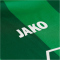 JAKO SC Preußen Münster Heimtrikot 2025/26 656 - grün M