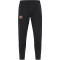 JAKO Dynamo Dresden Power Trainingsshorts 800 - schwarz M