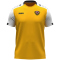 JAKO Dynamo Dresden Dynamic T-Shirt 305 - gelb/weiß/schwarz S