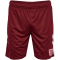 hummel SSV Jahn Regensburg Auswärtsshorts 2025/26 Kinder