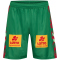 hummel SC Magdeburg Bundesliga Heimshorts 2025/26 6235 - jelly bean L