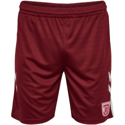 hummel SSV Jahn Regensburg Auswärtsshorts 2025/26...