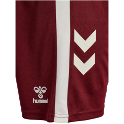 hummel SSV Jahn Regensburg Auswärtsshorts 2025/26...