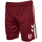 hummel SSV Jahn Regensburg Auswärtsshorts 2025/26 Kinder 3661 - cabernet 116