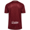 hummel SSV Jahn Regensburg Auswärtstrikot 2025/26 3661 - cabernet S