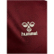 hummel SSV Jahn Regensburg Auswärtstrikot 2025/26 3661 - cabernet S