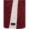 hummel SSV Jahn Regensburg Auswärtstrikot 2025/26 3661 - cabernet S
