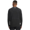 UNDER ARMOUR Trail Run Wool langarm Laufshirt Herren