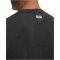 UNDER ARMOUR Trail Run Wool langarm Laufshirt Herren