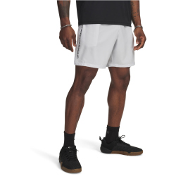 UNDER ARMOUR Woven Shorts Herren 023 - distant gray/black M