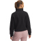 UNDER ARMOUR Expanse 1/2-Zip Fleecepullover Damen 002 - black/white L
