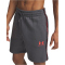 UNDER ARMOUR Icon Taping Fleeceshorts Herren 025 - castlerock/racer red L