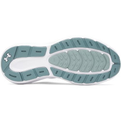 UNDER ARMOUR Rogue 5 Laufschuhe Damen 323 -...