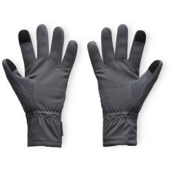 UNDER ARMOUR Storm ColdWeather Handschuhe Herren 025 -...