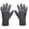 UNDER ARMOUR Storm ColdWeather Handschuhe Herren 025 - castlerock/black L