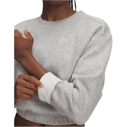 UNDER ARMOUR Rival Fleece Piped Sweatshirt Damen 011 -...