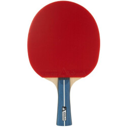 JOOLA Team Premium Tischtennisschläger
