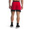 UNDER ARMOUR Vanish Graphic Trainingsshorts Herren 600 - red/black/black S