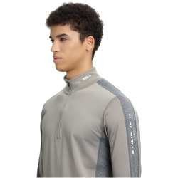 ICEPEAK Fleminton S8 1/2-Zip Sweatshirt Herren 245 - grey M