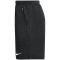 NIKE Park 26 Fleece Sweatshorts Herren