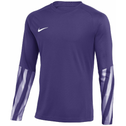 NIKE Park V Dri-FIT Torwarttrikot Herren