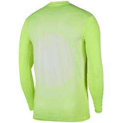 NIKE Paris Saint-Germain Stadium Dri-FIT Ausweich Torwarttrikot Herren