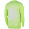 NIKE Paris Saint-Germain Stadium Dri-FIT Ausweich Torwarttrikot Herren