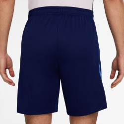 NIKE Tottenham Hotspur Strike Dri-FIT Ausweichshorts Herren