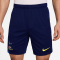 NIKE Tottenham Hotspur Strike Dri-FIT Ausweichshorts Herren